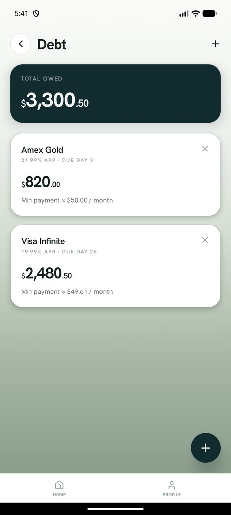 Debt